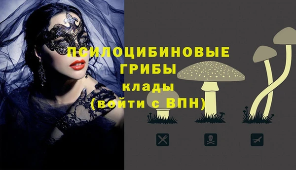 мяу мяу мука Баксан
