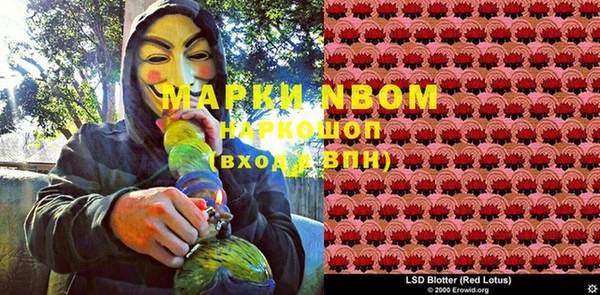 мяу мяу мука Баксан